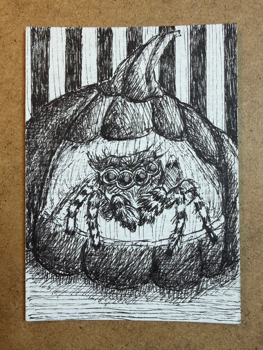 PAINTING of Original Art Halloween Spider Pumpkin Ink ACEO by Suzanne Burbank aka SuziBu.Sketches