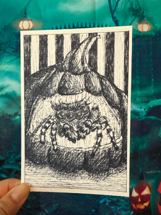 POSTCARD of Halloween Art, Jumping Spider in Pumpkin by Suzanne Burbank aka SuziBu.Sketches