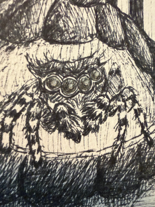 POSTCARD of Halloween Art, Jumping Spider in Pumpkin by Suzanne Burbank aka SuziBu.Sketches